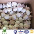 Hot Selling Fresh Normal White Garlic 10kgs Loose Carton